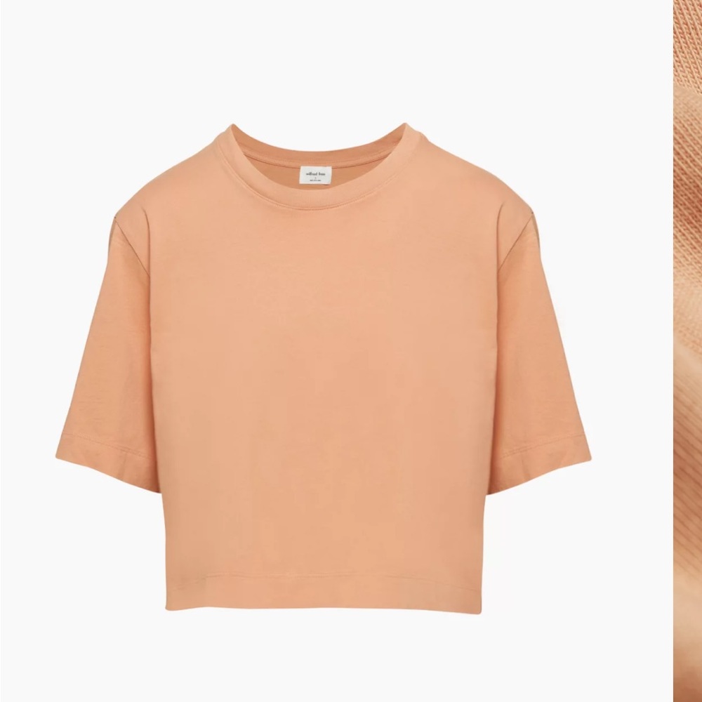 Aritzia Wilfred Free Getaway Tshirt - soft Terracotta